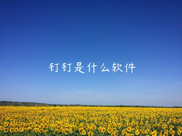 釘釘是什么軟件